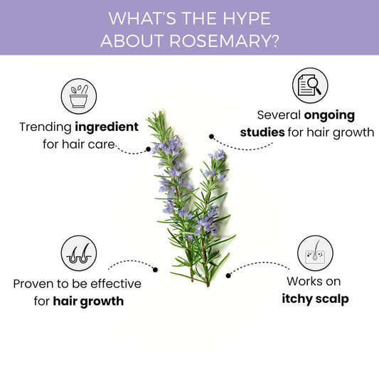 Rosemary Essential Oil for Hair Growth